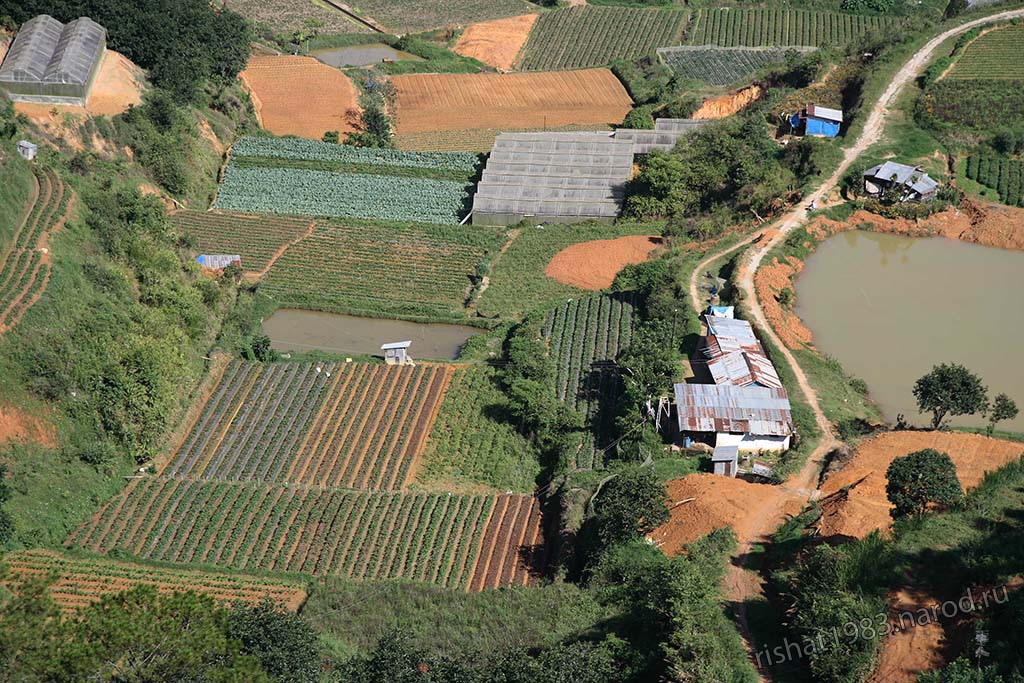 IMG_6281.jpg - Cable Car view Dalat Agriculture