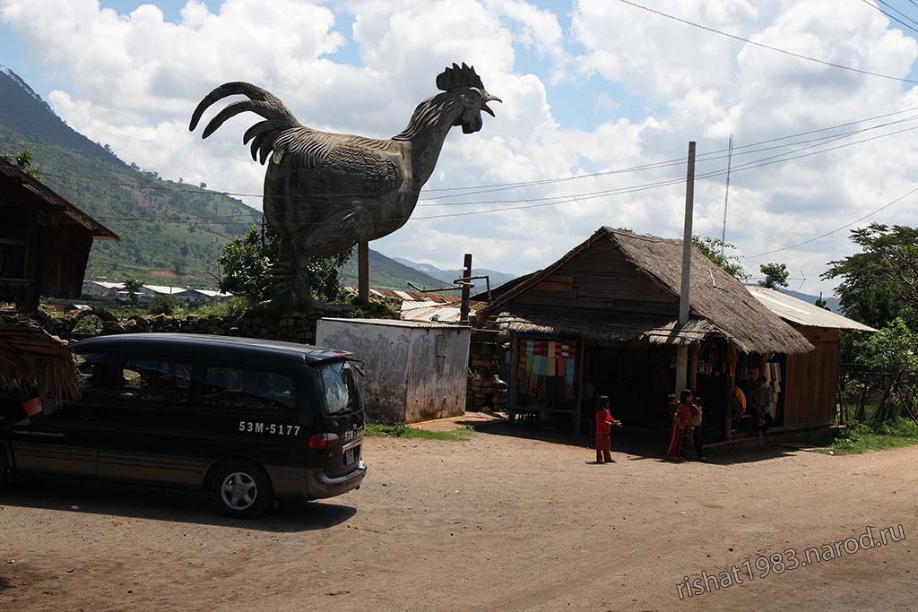 IMG_6599.jpg - Chicken Village