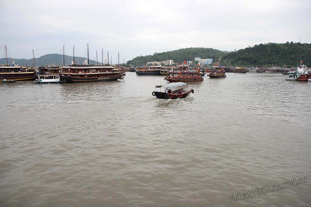 IMG_4179.jpg - Many ships in the bay