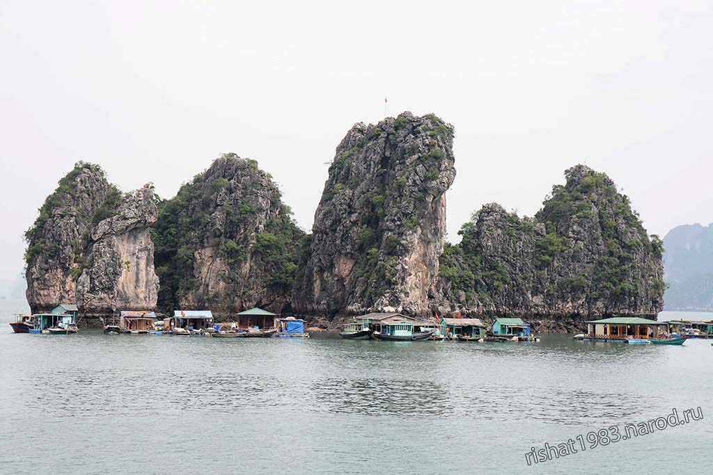 IMG_4737.jpg - Another sea Gypsy Village with a real school