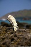 20130309_07_Thailand_Phuket_Ya_Nui_Beach_016