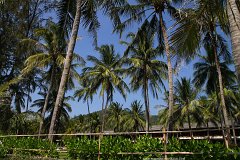 20130310_09_Thailand_Phuket_Kata_Noi_Beach_039