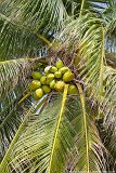 20130311_12_Thailand_Phuket_Surin_Beach_042