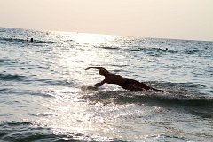 20130314_18_Thailand_Phuket_Surin_Beach_107