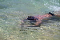 20130315_20_Thailand_Phuket_Surin_Beach_036