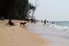 20130320_27_Thailand_Phuket_Nai_Yang_Beach_021