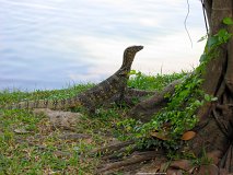 20130323_36_Thailand_Bangkok_Lumphini_Park_004