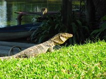 20130323_36_Thailand_Bangkok_Lumphini_Park_007