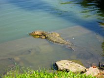 20130323_36_Thailand_Bangkok_Lumphini_Park_010